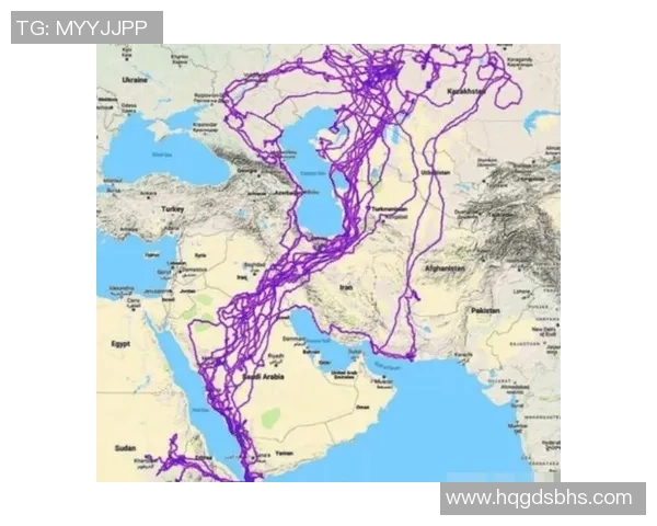 东部地图改动,老鹰会有什么新风貌?
